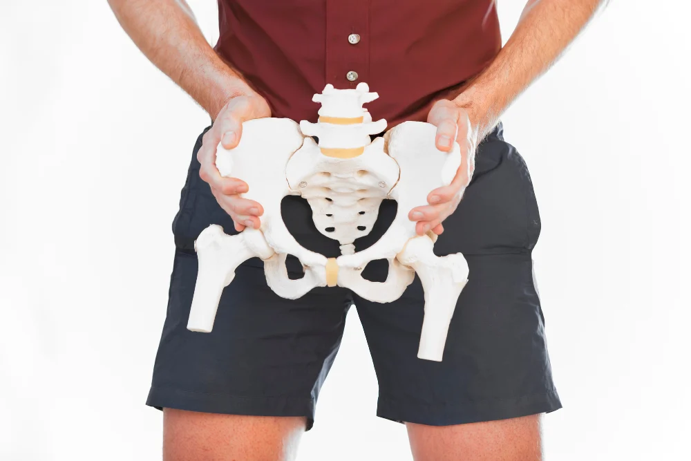 man-holding-pelvis-model